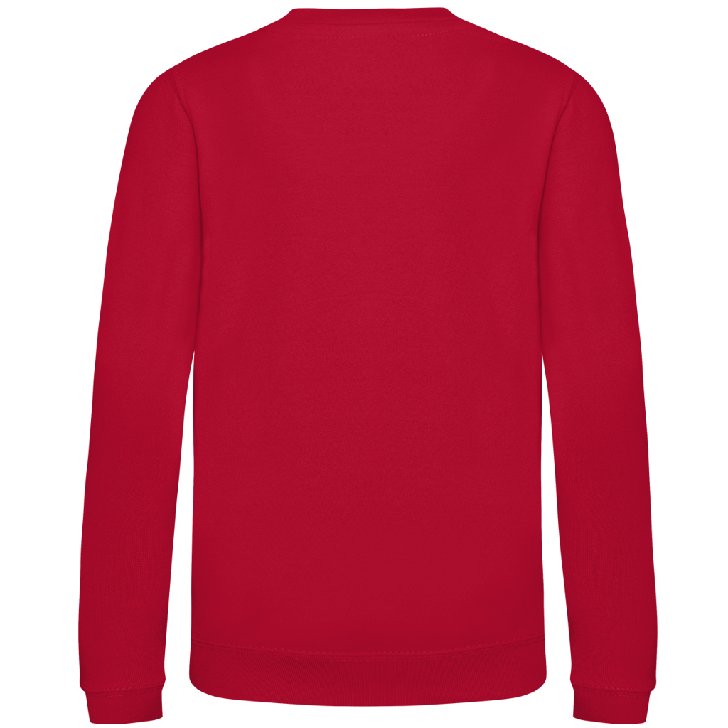 Kinder Sweatshirt Pinsel 2026